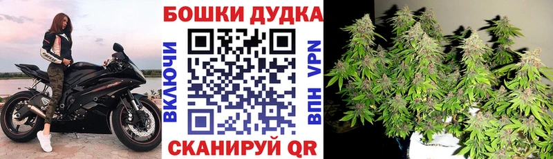 Сколько стоит Абинск Псилоцибиновые грибы  МЕФ  A PVP 