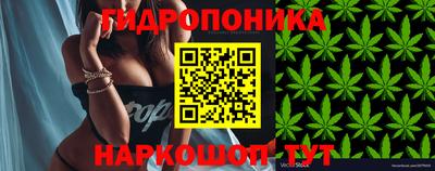 стафф Балаково