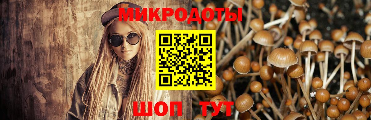Галлюциногенные грибы ЛСД Абинск