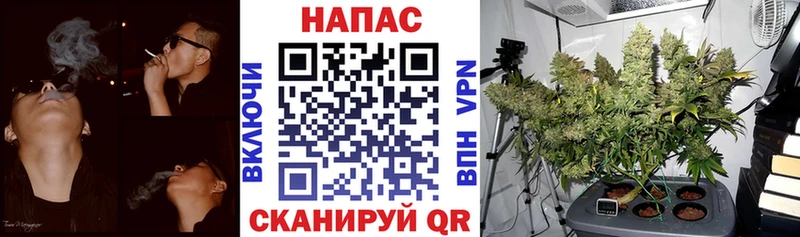 наркошоп  это клад  Бошки Шишки THC 21%  Абинск 
